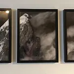 Base Camp Vue Mont Blanc Centre Шамони